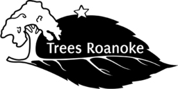 Trees Roanoke