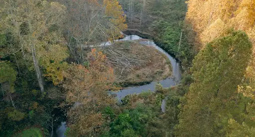 river with oxbow
